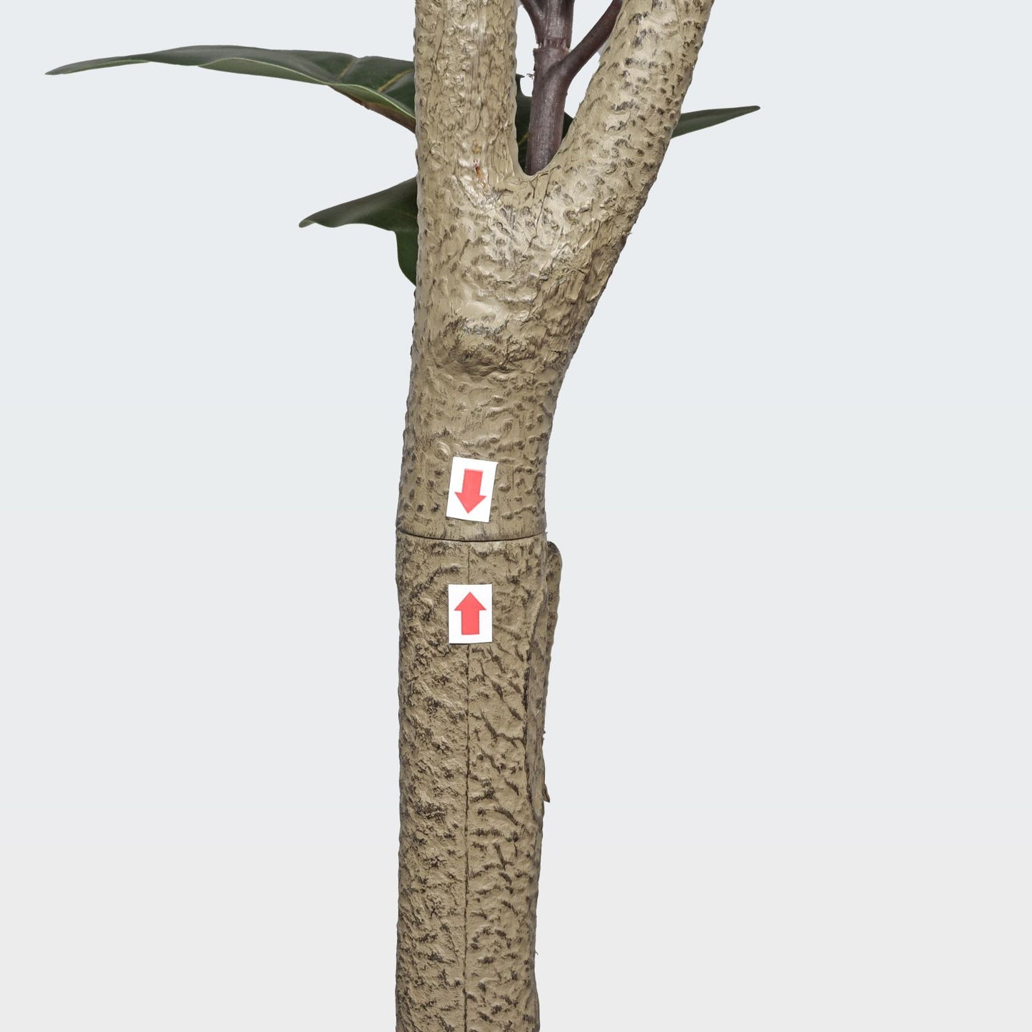 540543081