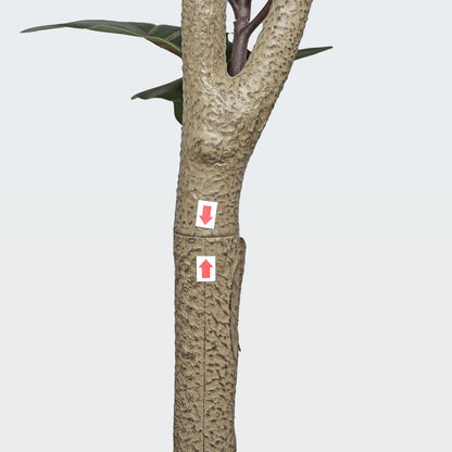 540543081