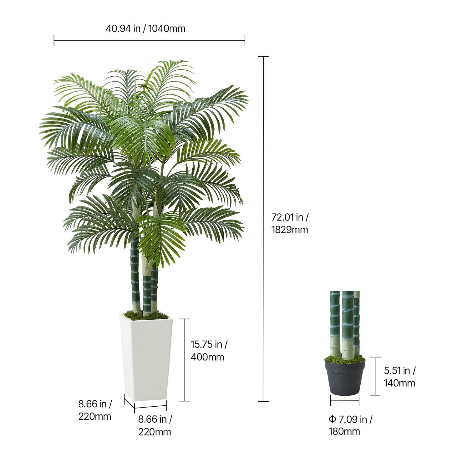 540543181
